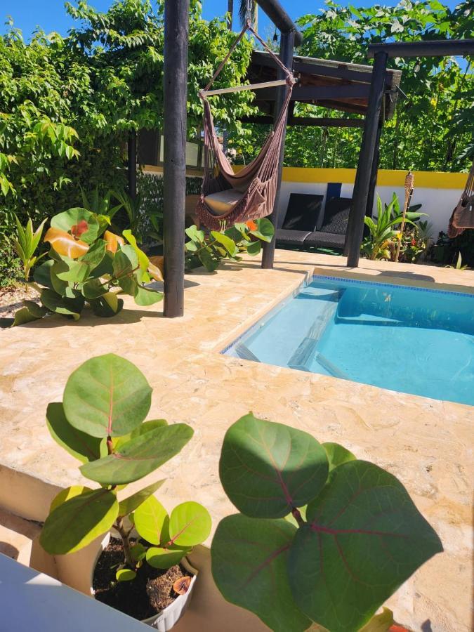 Вилла Tropicoco Pool House Steps From The Beach Puerto Nuevo Экстерьер фото